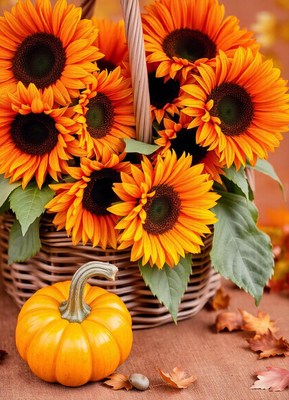 Sunflowers and a pumpkin on a table with leaves