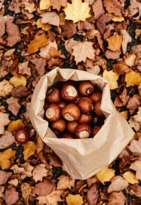 A bag of chestnuts sits on a bed of fallen leaves