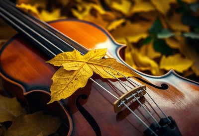 A violin rests on a bed of fallen leaves