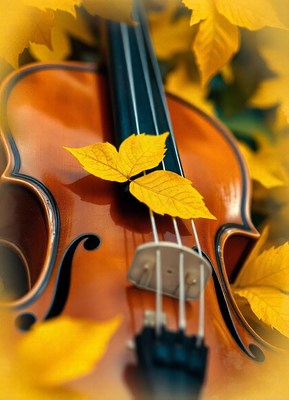 A violin rests among yellow leaves in the autumn
