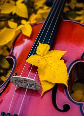 A red violin with a yellow leaf on top