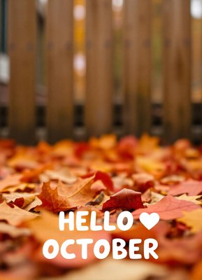 Hello october, with a blanket of fallen leaves