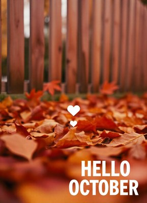 Fallen leaves cover the ground in october