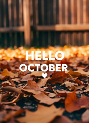 Fallen leaves signal the arrival of october