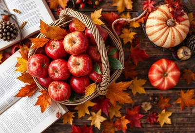 A basket of red apples is on a wooden table