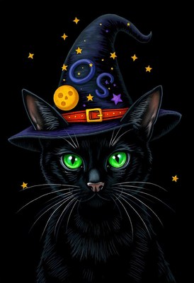 Black cat with green eyes in a witch's hat