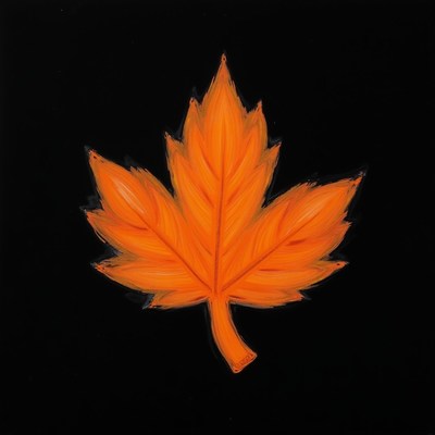 A single orange maple leaf against a black background