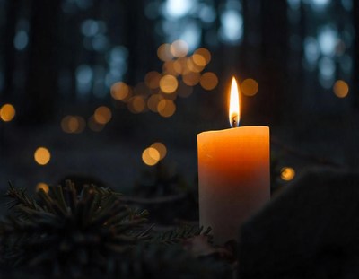 A single candle burns brightly in the dark forest