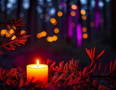 A single candle burns brightly in a forest at night