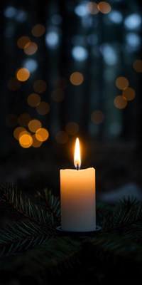 A single candle burns brightly in the forest at night