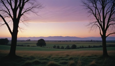 A peaceful sunset over a rolling field in the countryside