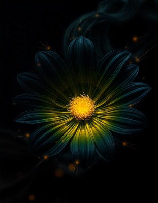 A glowing flower in the dark