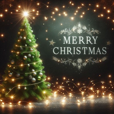 A decorated christmas tree with lights