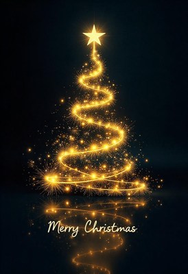 Illuminated christmas tree on a dark backdrop