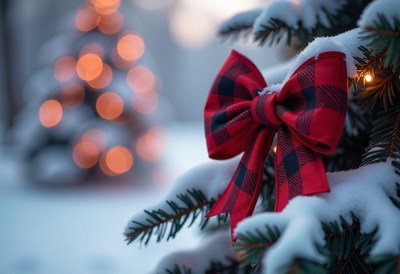 A red bow adorns a snowy pine branch in the winter