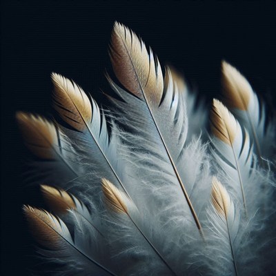 Golden and white feathers against a black background