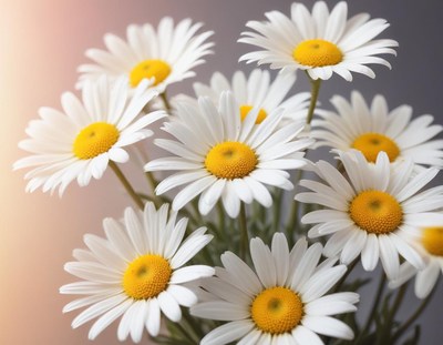 A bouquet of daisies sits on a gray background