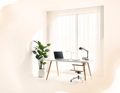 A minimalist home office with a desk, chair, and plant