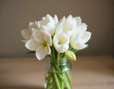 White tulips in a vase on a wooden table