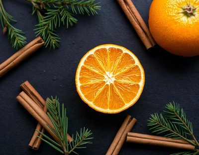 Orange slice, cinnamon, and pine on dark surface