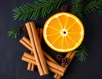 Orange slice, cinnamon, and pine on dark background