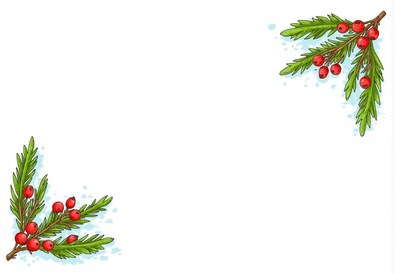 Holly sprigs with red berries on a white background