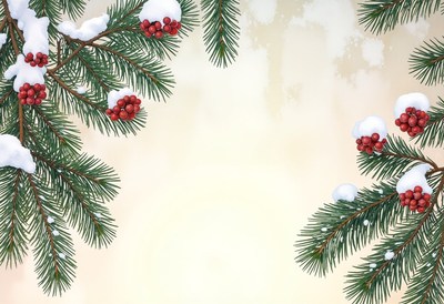 Pine branches with red berries and snow