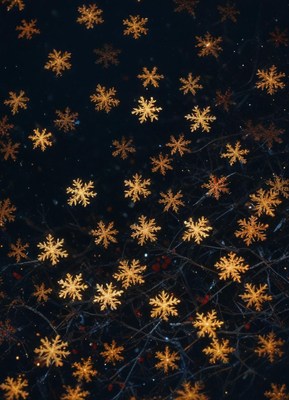 Golden snowflakes shine against a dark night sky