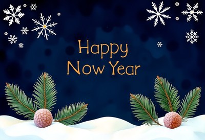 Happy new year with snow and pine branches