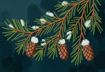 A pine branch with snow and pine cones