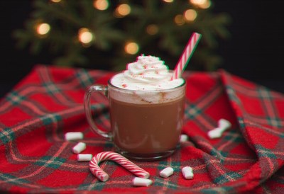 Hot chocolate with whipped cream on plaid cloth