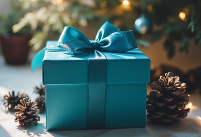 A blue gift box sits under a christmas tree
