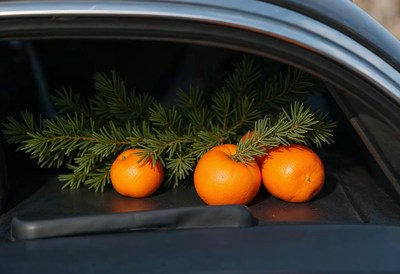 Oranges and pine branches displayed on a car trunk