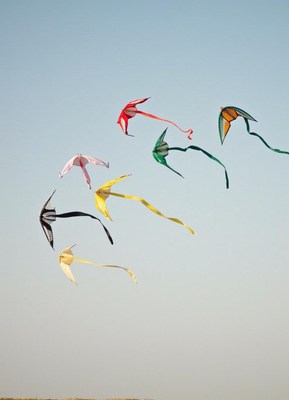 Colorful kites soaring in the clear blue sky