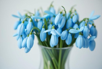 Delicate blue snowdrops in a clear vase arrangement