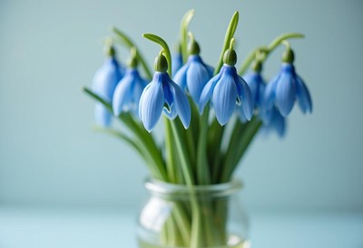 Snowdrop flowers arranged in a clear glass jar