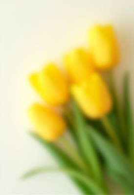 Bright yellow tulips arranged beautifully on a table