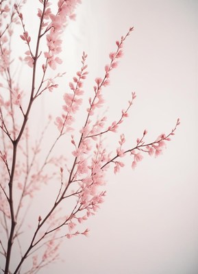 Delicate pink blossoms in soft light setting