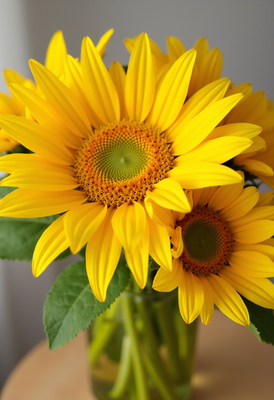 Bright sunflowers in a glass vase on a table