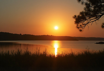 Sunset over lake with pine trees