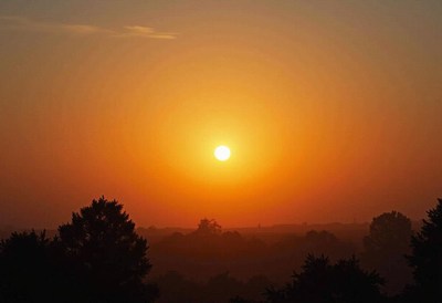 Sunset over silhouetted trees