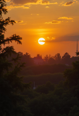 Sunset over trees and hills