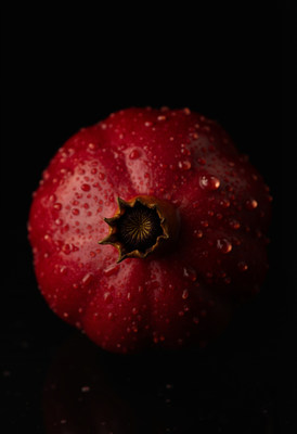 Closeup of dewy red pomegranate