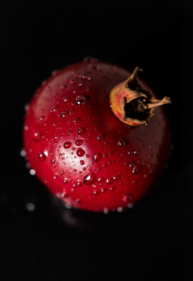 Dewy Red Pomegranate on Black