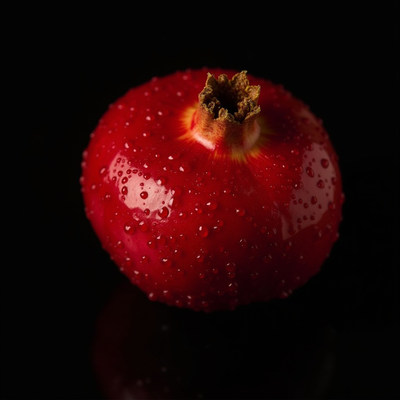 Dewy Red Pomegranate on Black
