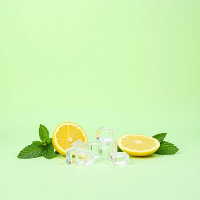Lemon slices with ice cubes and mint