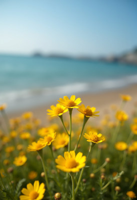 Bright yellow flowers near the beach on a sunny day