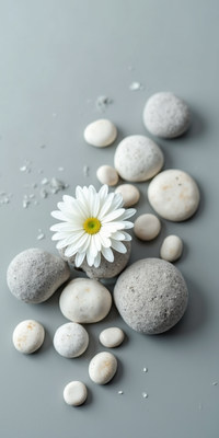 Flower placed among smooth stones on a gray surface