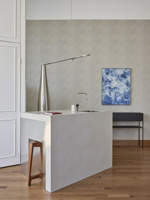 Minimalist modern kitchen in an elegant space