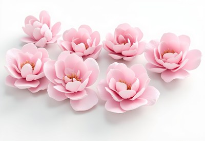 Pink flowers arranged elegantly on a white surface
